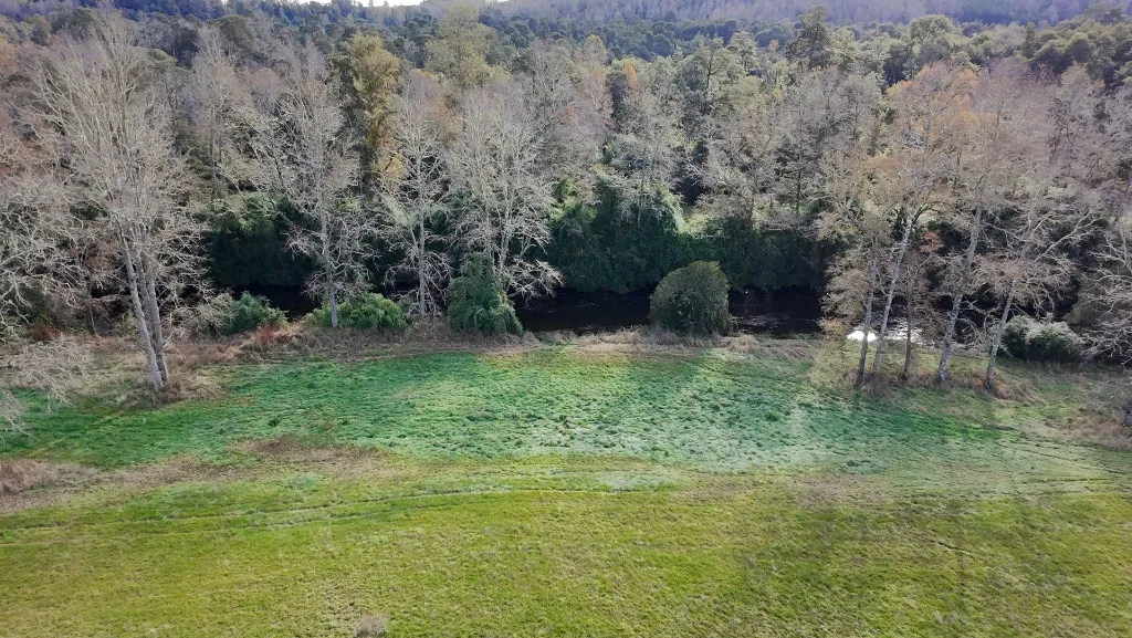 WhatsApp Image 2026-04-13 at 5.58.13 PM (1).webp