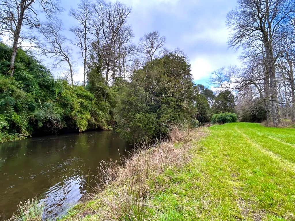 WhatsApp Image 2026-04-13 at 5.59.07 PM.webp