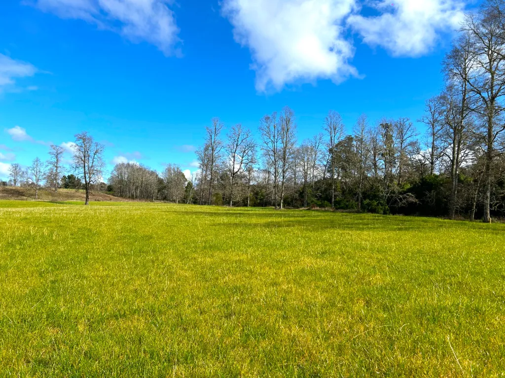 WhatsApp Image 2026-04-13 at 5.59.08 PM.webp