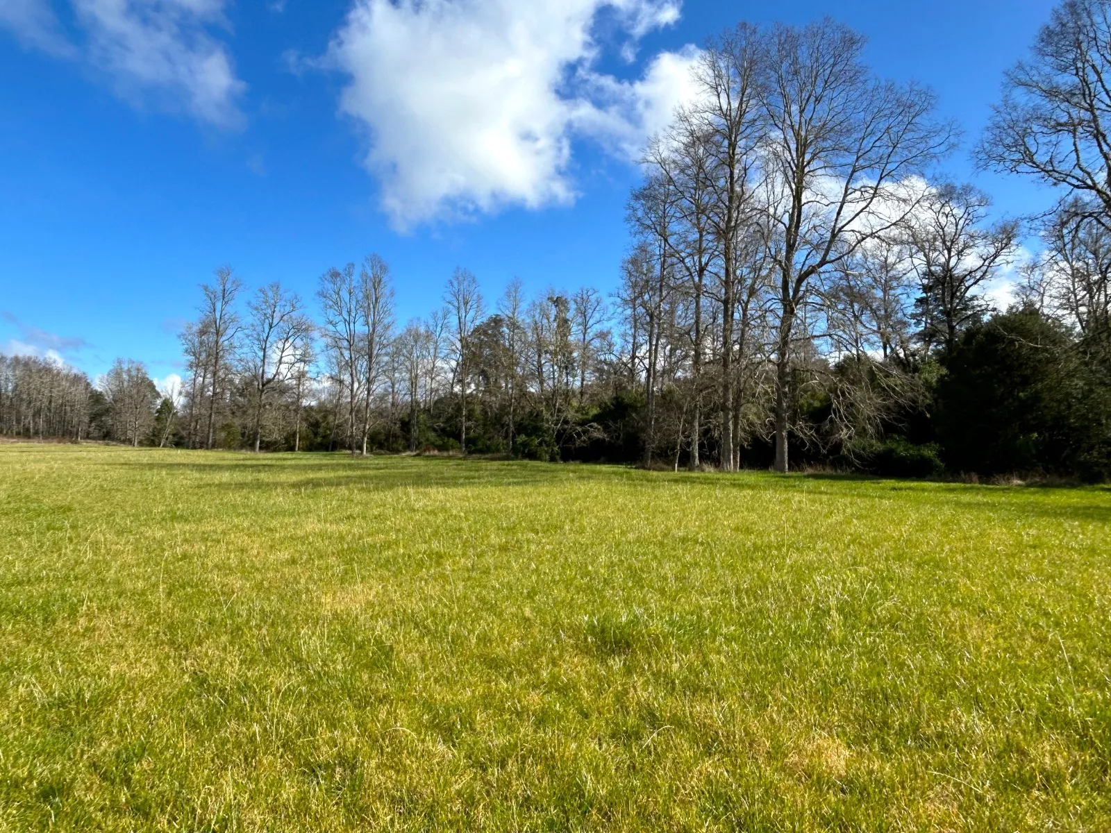 WhatsApp Image 2026-04-13 at 5.59.07 PM (1).webp