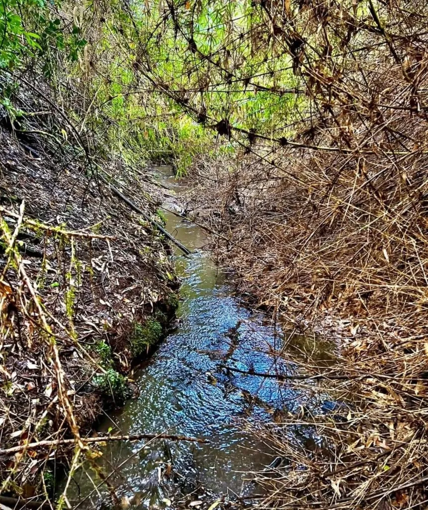 WhatsApp Image 2026-04-20 at 1.16.13 PM.webp