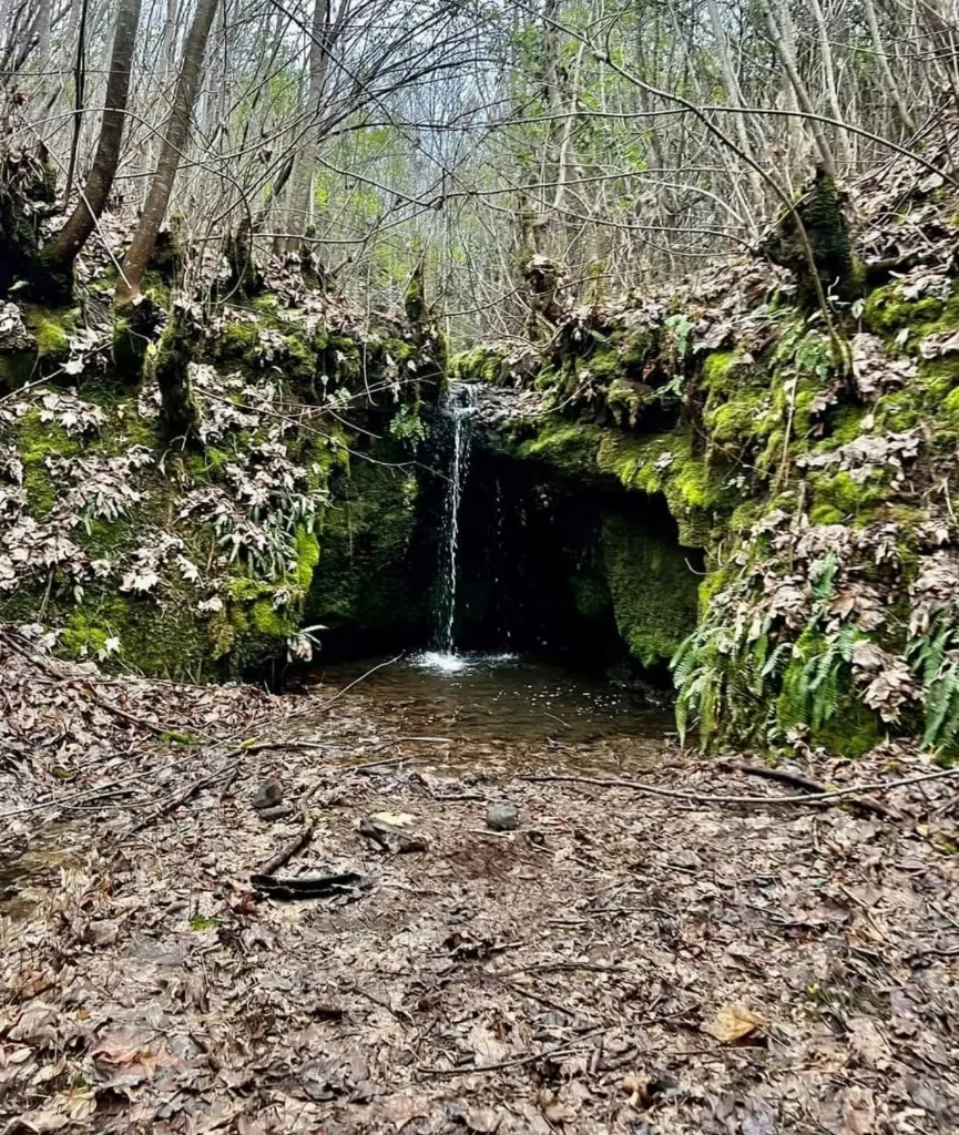 WhatsApp Image 2026-04-20 at 1.16.13 PM (2).webp