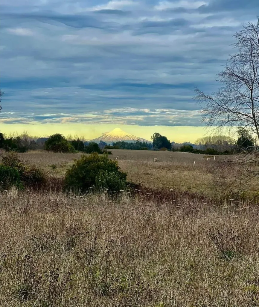 WhatsApp Image 2026-04-20 at 1.16.14 PM.webp