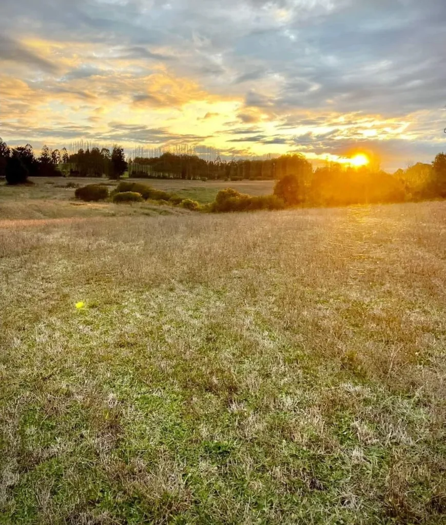 WhatsApp Image 2026-04-20 at 1.16.13 PM (1).webp