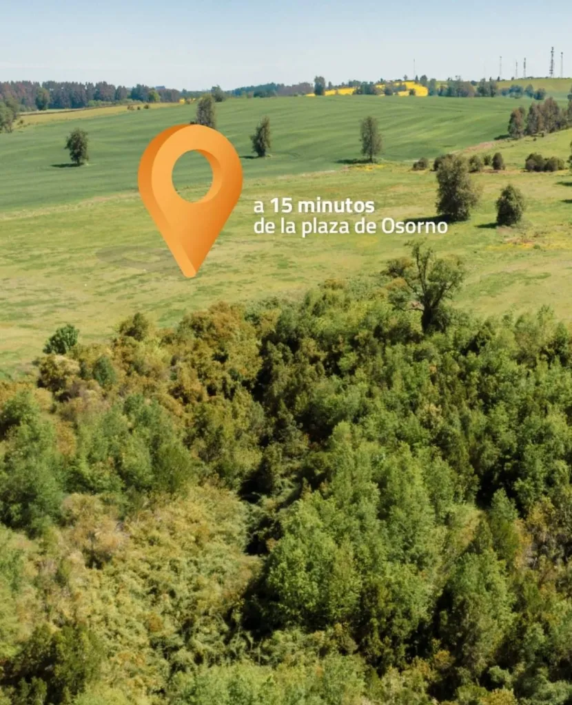 WhatsApp Image 2026-04-20 at 1.16.14 PM (2).webp