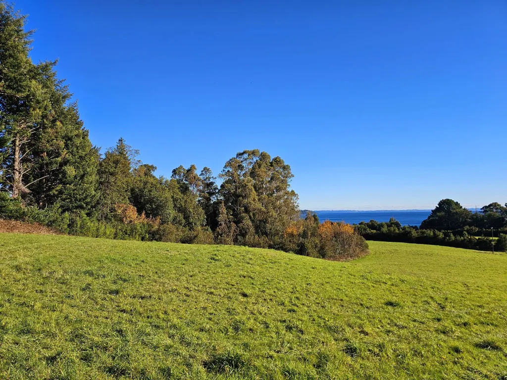 WhatsApp Image 2026-04-20 at 12.32.45 PM.webp