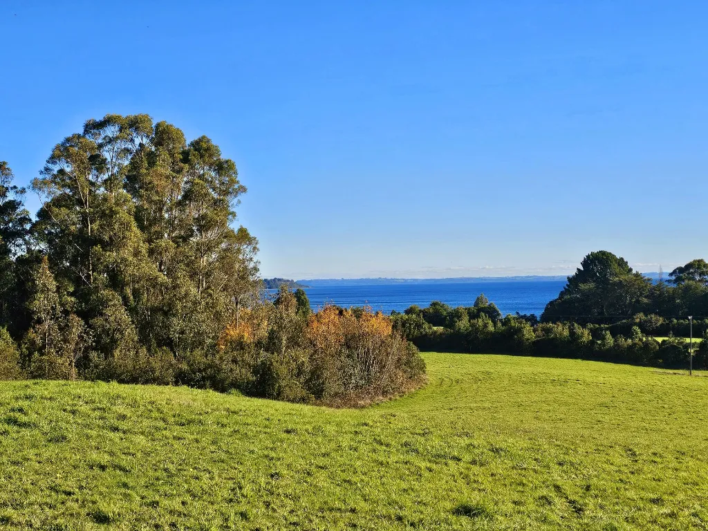 WhatsApp Image 2026-04-20 at 12.32.45 PM (1).webp