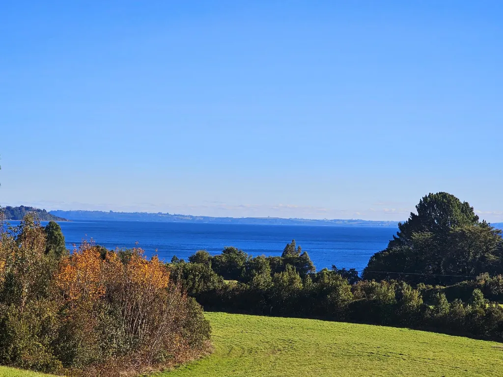 WhatsApp Image 2026-04-20 at 12.32.45 PM (2).webp