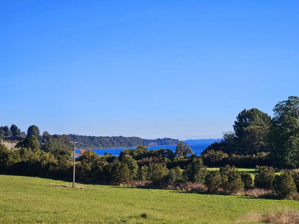 WhatsApp Image 2026-04-20 at 12.32.46 PM (1).webp