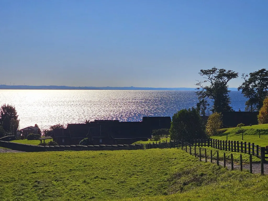 WhatsApp Image 2026-04-20 at 12.32.46 PM.webp