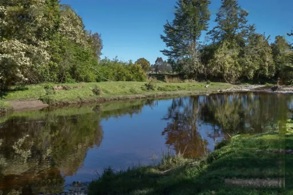 WhatsApp Image 2026-04-21 at 11.40.57 AM (1).webp