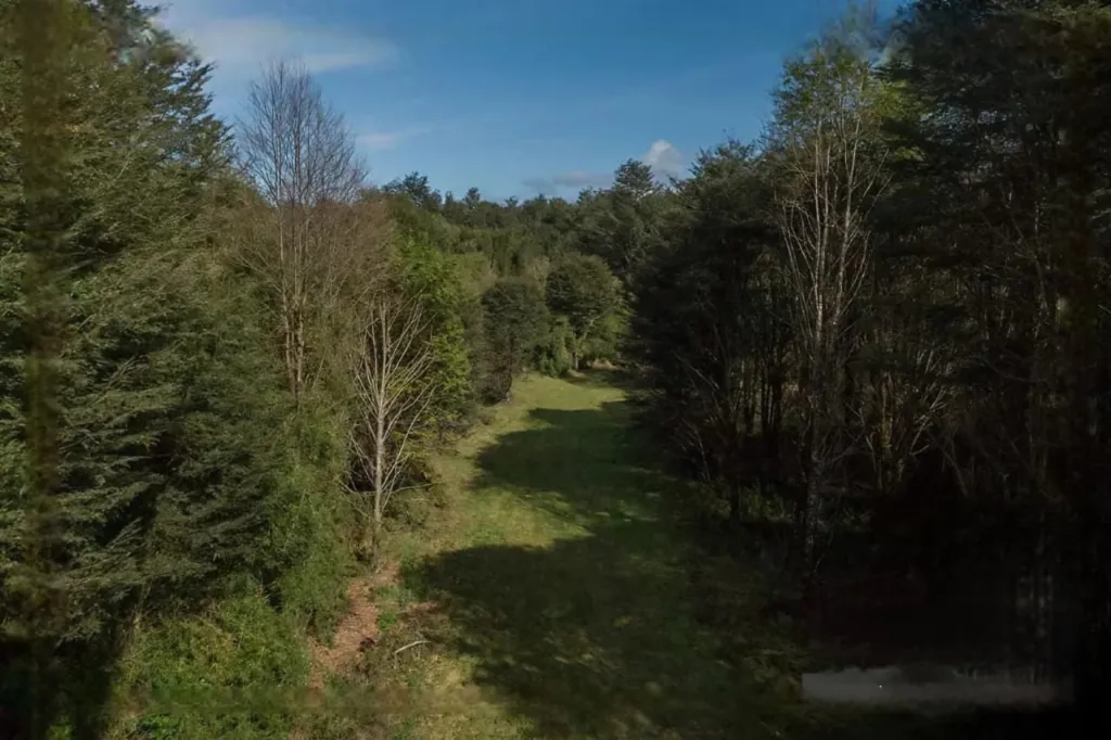 WhatsApp Image 2026-04-21 at 11.40.57 AM (3).webp