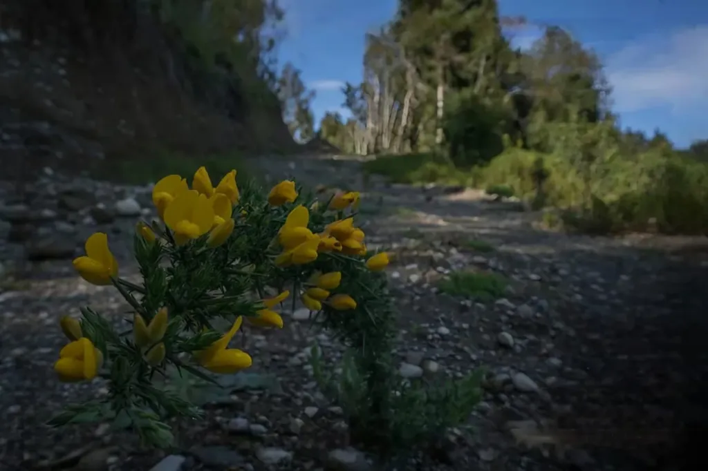 WhatsApp Image 2026-04-21 at 11.40.57 AM.webp