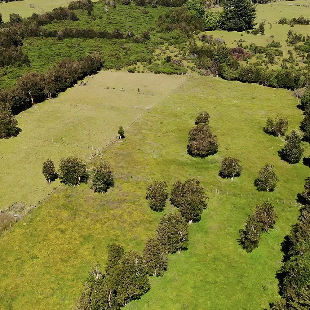 WhatsApp Image 2026-04-23 at 10.26.55 AM (2).webp