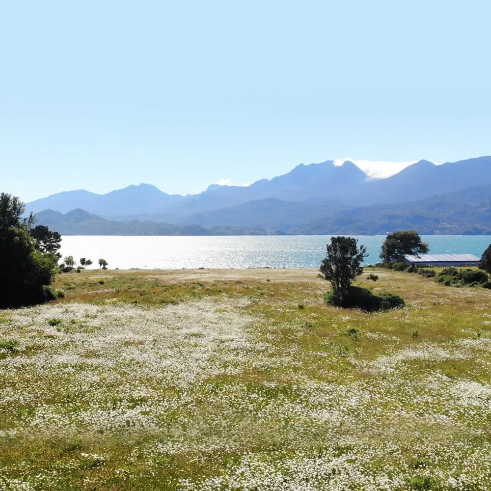 WhatsApp Image 2026-04-23 at 10.26.56 AM (1).webp