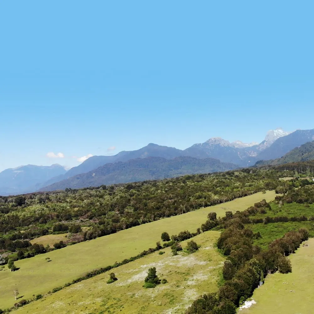 WhatsApp Image 2026-04-23 at 10.26.55 AM (3).webp