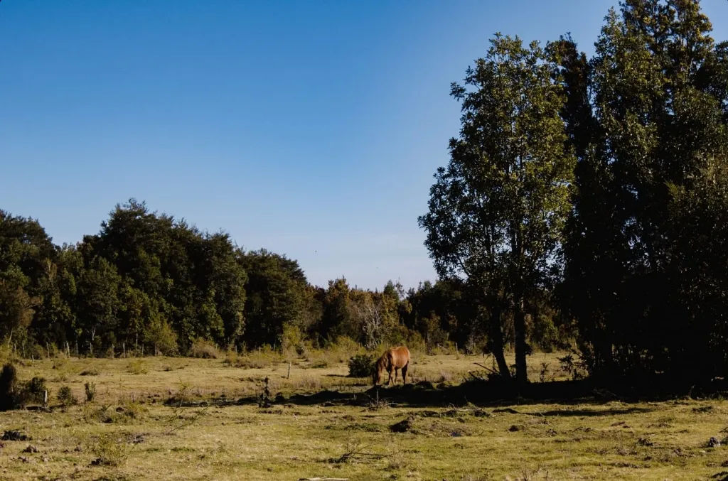 WhatsApp Image 2026-04-24 at 2.27.29 PM (2).webp