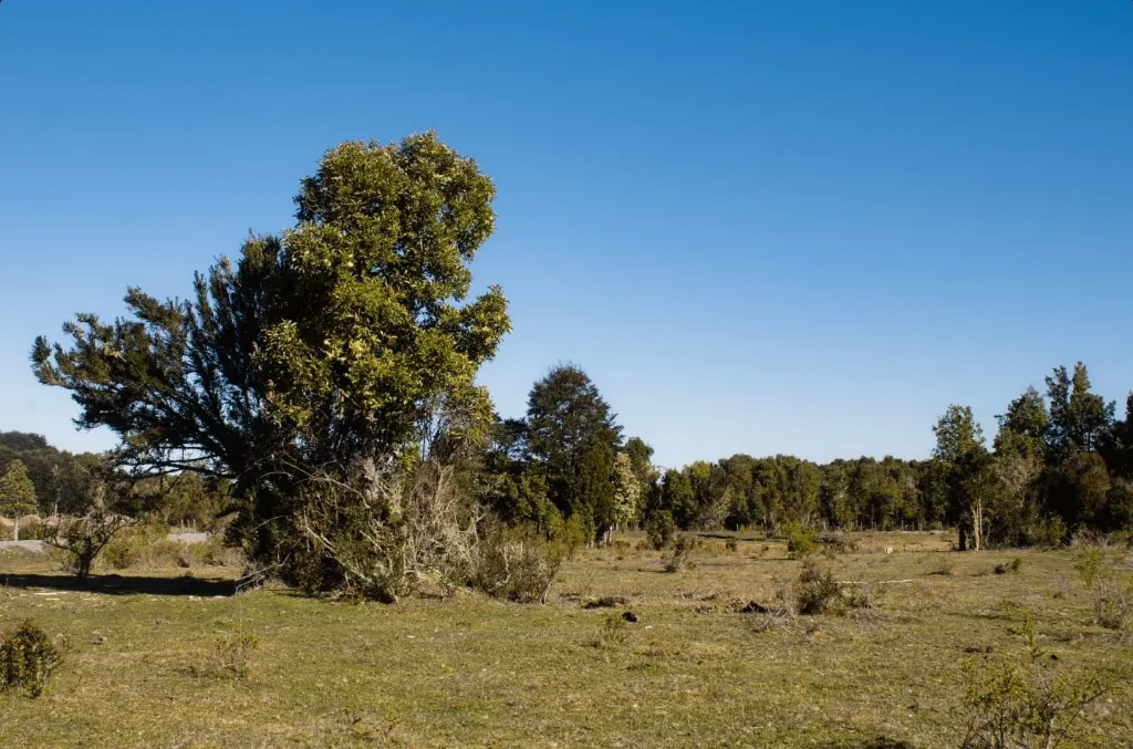 WhatsApp Image 2026-04-24 at 2.27.29 PM (1).webp