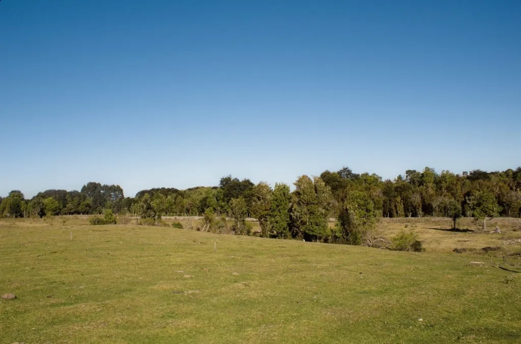 WhatsApp Image 2026-04-24 at 2.27.30 PM.webp