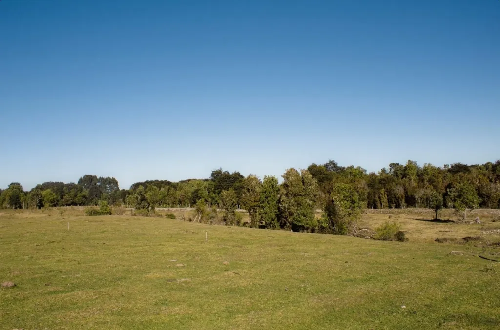 WhatsApp Image 2026-04-24 at 2.27.29 PM.webp