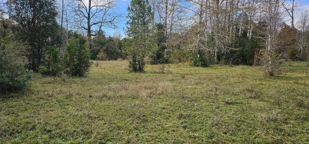 WhatsApp Image 2026-04-24 at 11.31.39 AM.webp