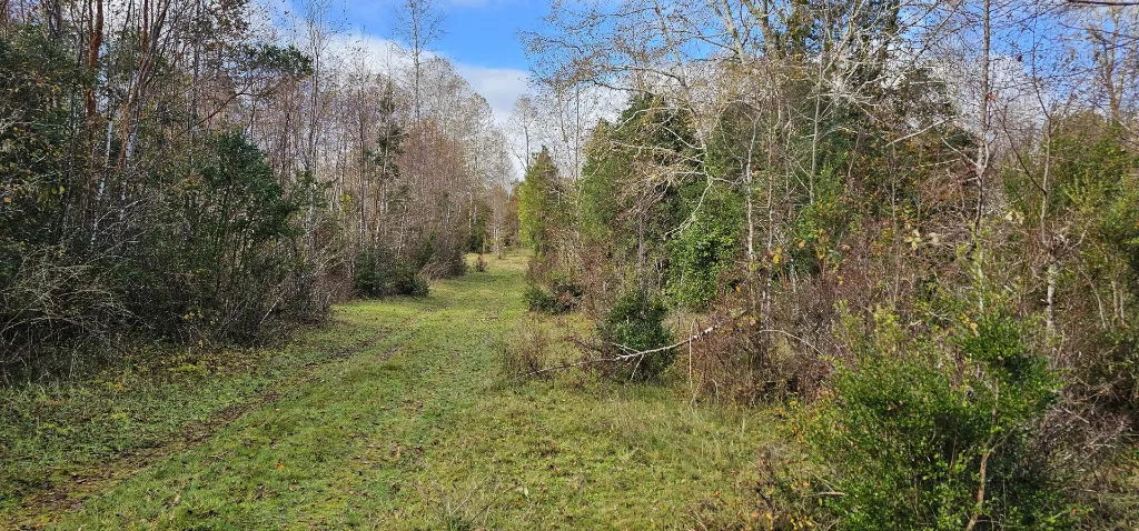 WhatsApp Image 2026-04-24 at 11.31.39 AM (1).webp