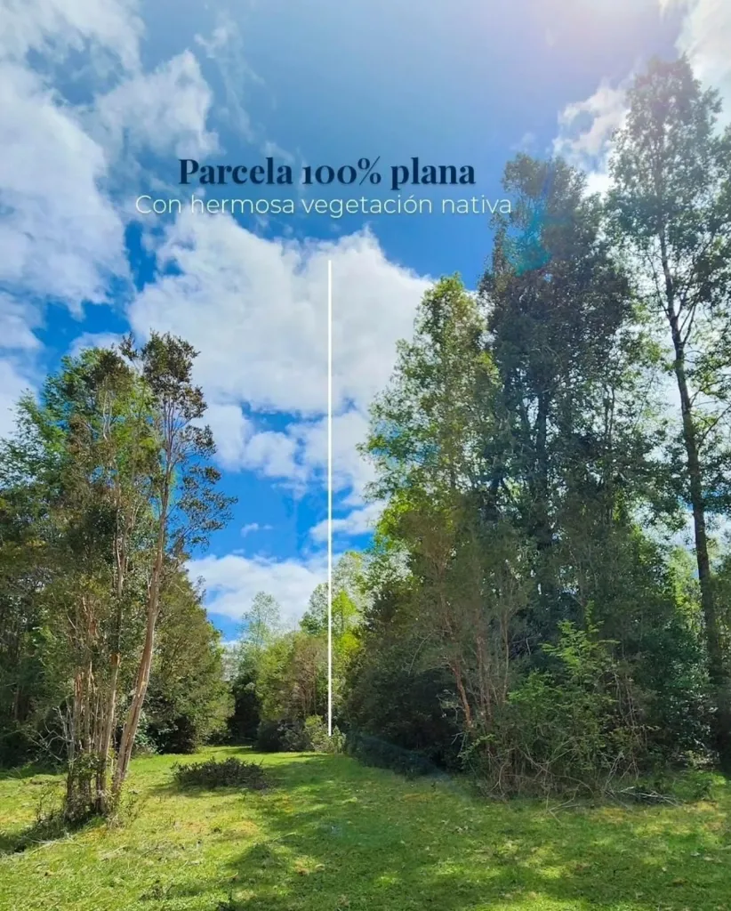 WhatsApp Image 2026-04-24 at 11.31.15 AM.webp