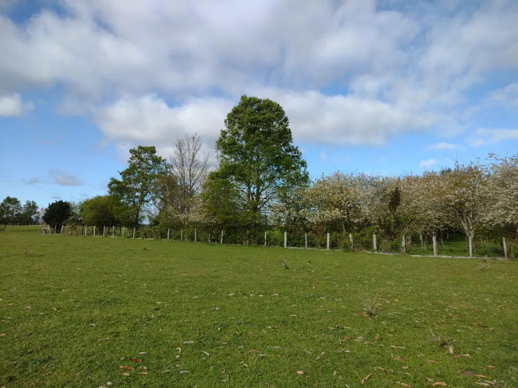 WhatsApp Image 2026-04-24 at 11.32.10 AM.webp