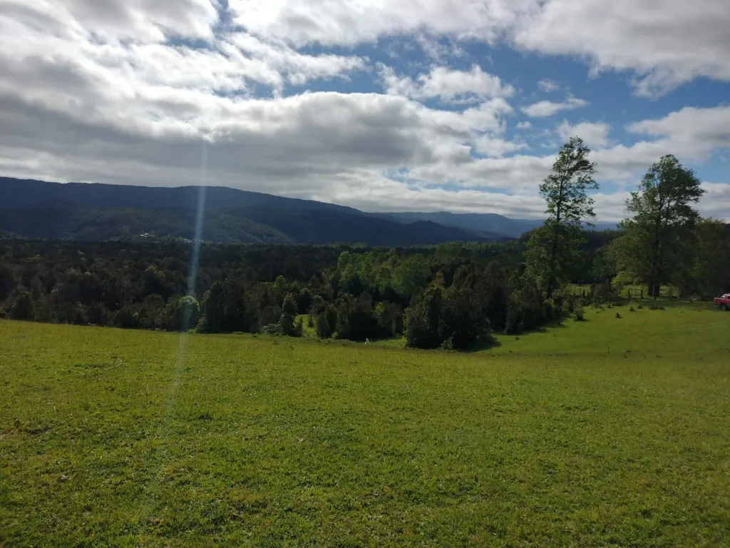 WhatsApp Image 2026-04-24 at 11.32.10 AM (1).webp