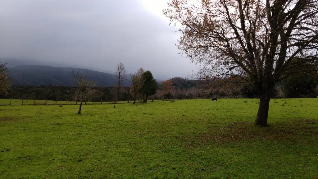 WhatsApp Image 2026-04-24 at 11.32.09 AM (1).webp