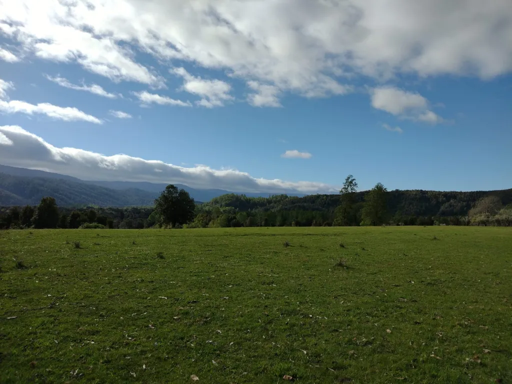 WhatsApp Image 2026-04-24 at 11.32.10 AM (2).webp