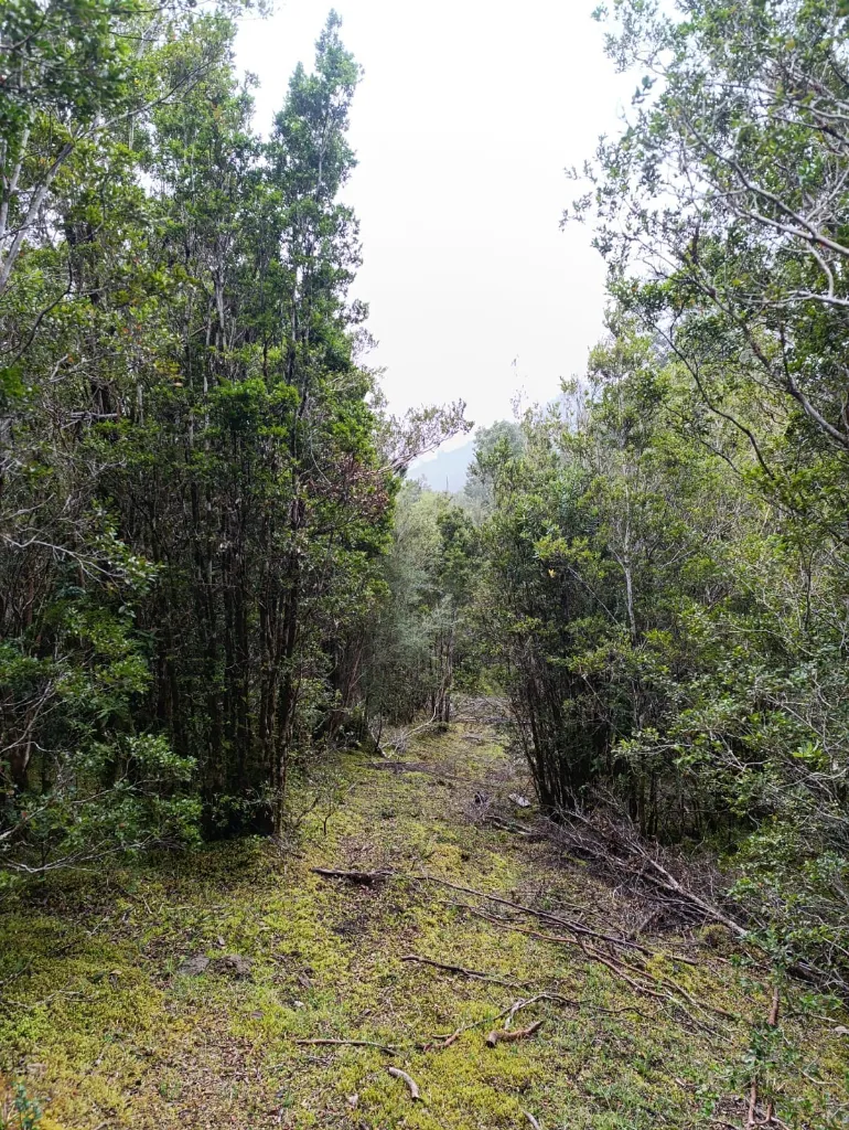 WhatsApp Image 2026-04-24 at 12.35.55 PM.webp