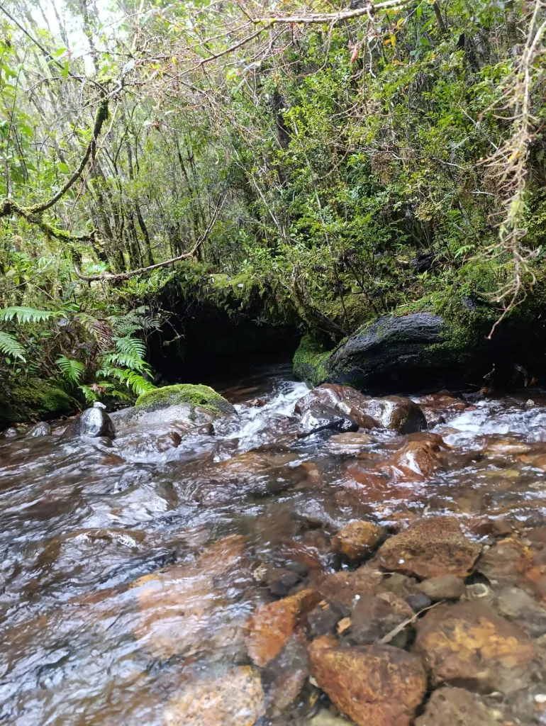 WhatsApp Image 2026-04-24 at 12.35.54 PM (1).webp