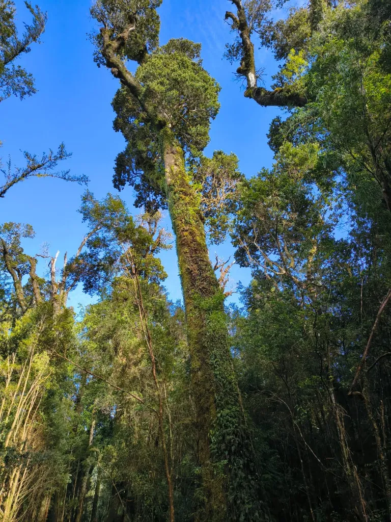 WhatsApp Image 2026-04-24 at 12.35.54 PM.webp