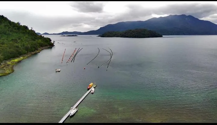 WhatsApp Image 2026-04-24 at 12.35.55 PM (3).webp