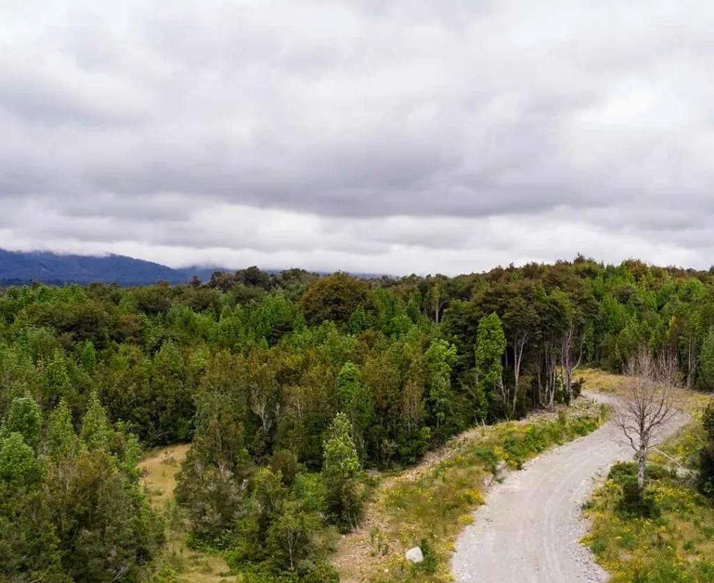 WhatsApp Image 2026-04-24 at 1.14.42 PM.webp