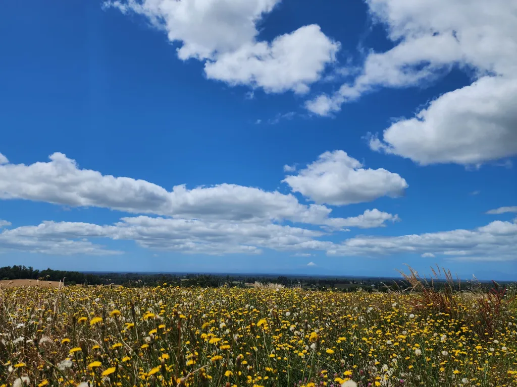 WhatsApp Image 2026-03-27 at 3.36.23 PM (2).webp