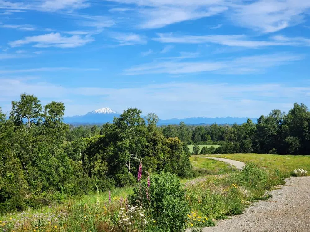 WhatsApp Image 2026-03-27 at 3.36.24 PM (2).webp