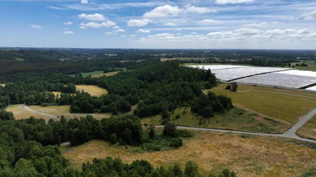 WhatsApp Image 2026-03-27 at 3.33.13 PM.webp