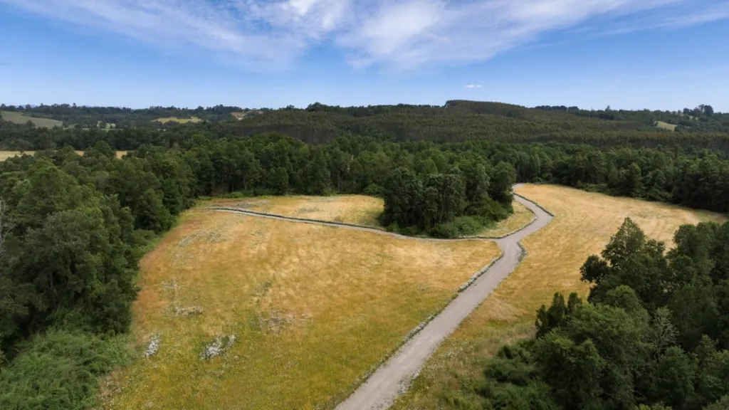 WhatsApp Image 2026-03-27 at 3.33.12 PM.webp