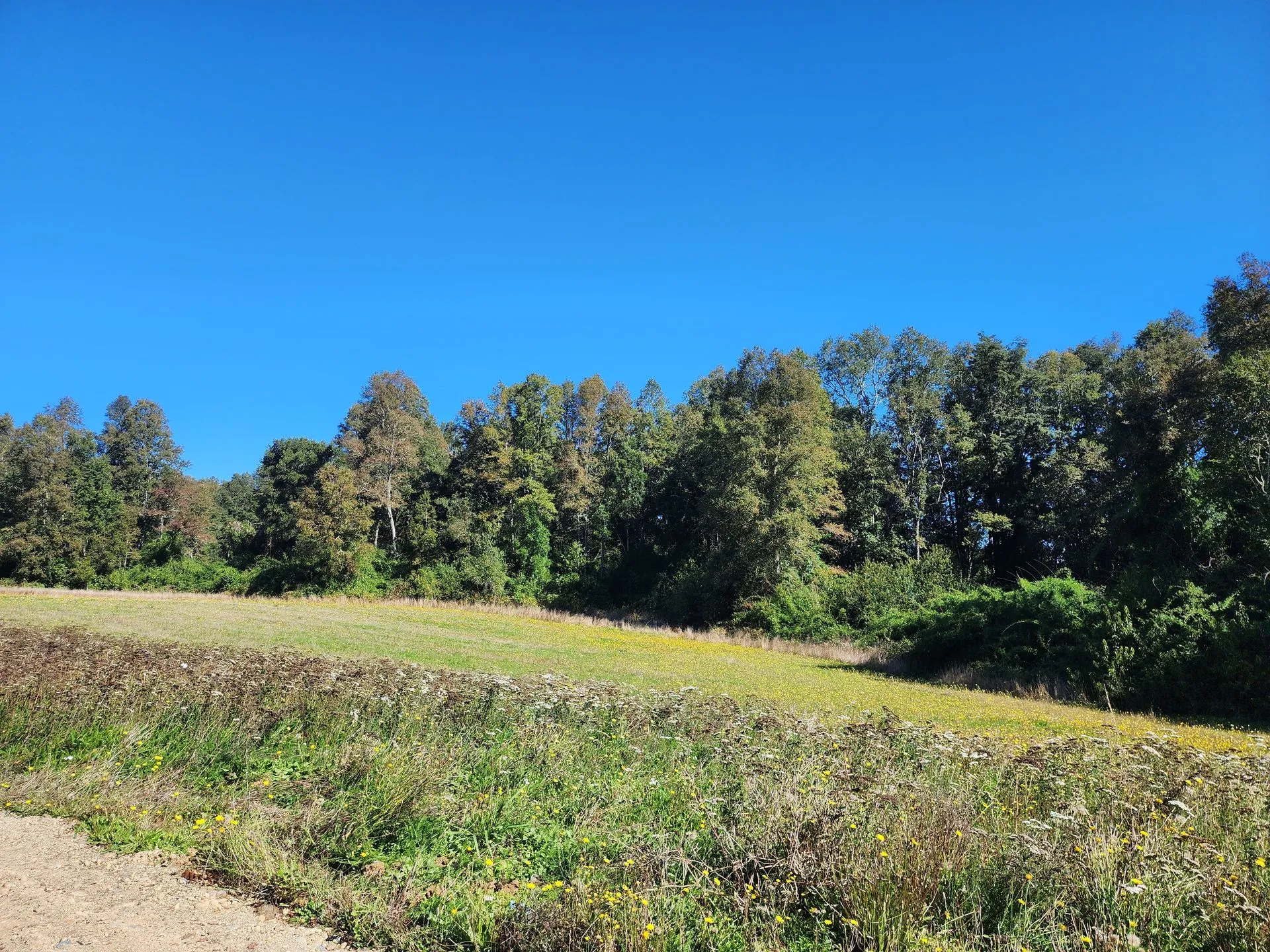 WhatsApp Image 2026-04-13 at 5.44.53 PM (1).webp