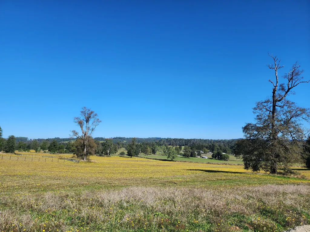 WhatsApp Image 2026-04-13 at 5.44.54 PM (2).webp