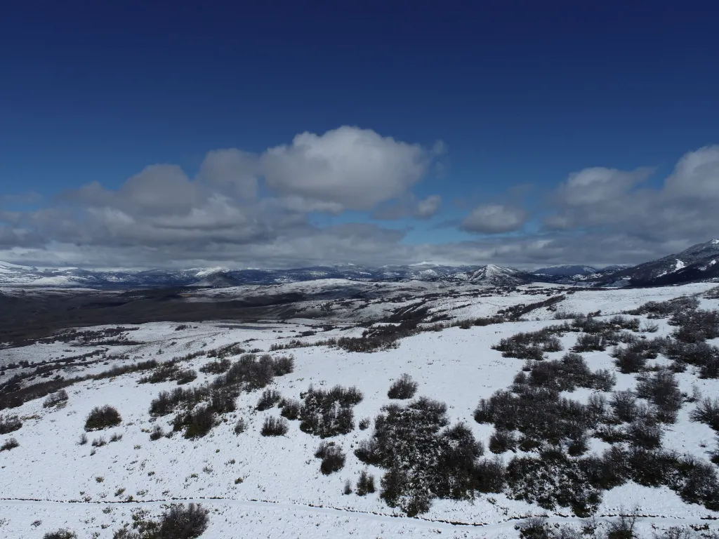 WhatsApp Image 2026-04-27 at 6.48.07 PM.webp