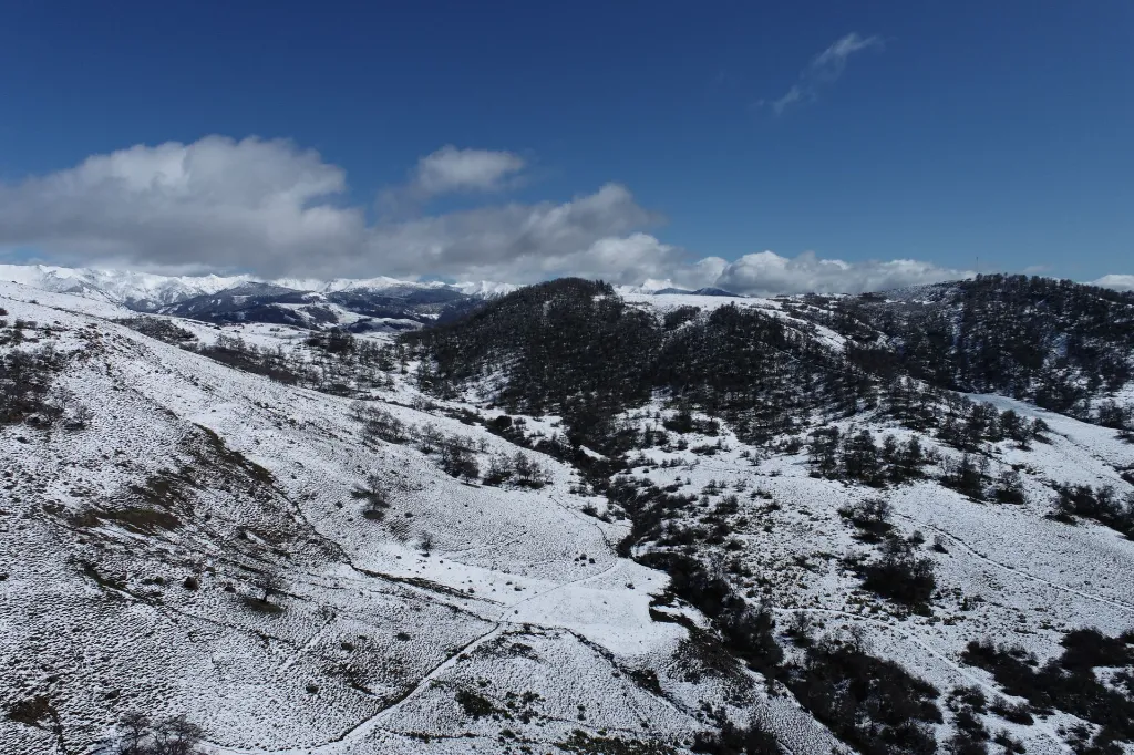 WhatsApp Image 2026-04-27 at 6.48.07 PM (3).webp