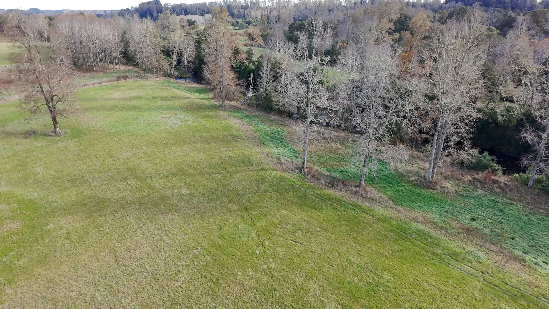 WhatsApp Image 2026-04-13 at 5.58.14 PM (1).webp