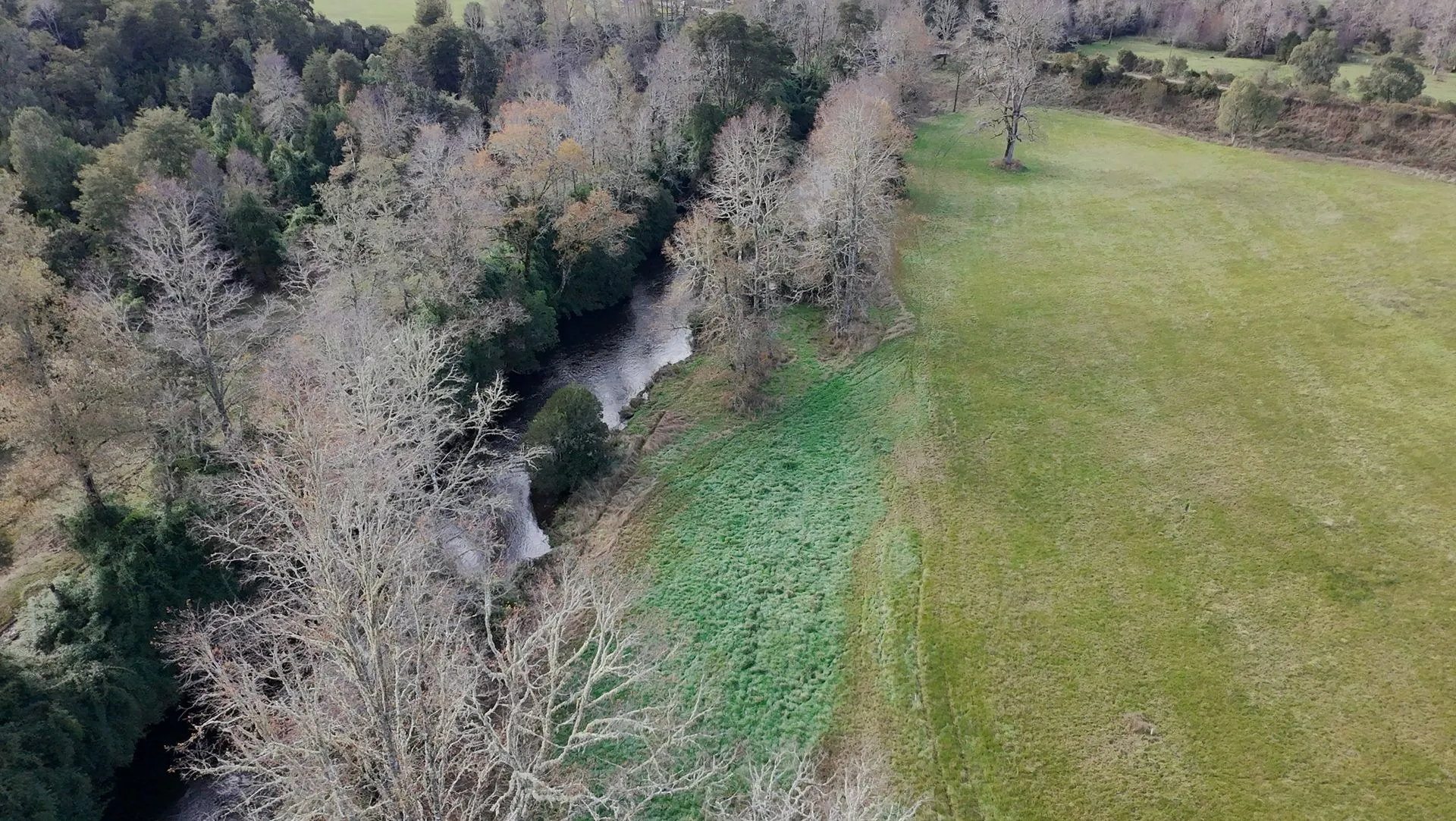 WhatsApp Image 2026-04-13 at 5.58.15 PM (3).webp