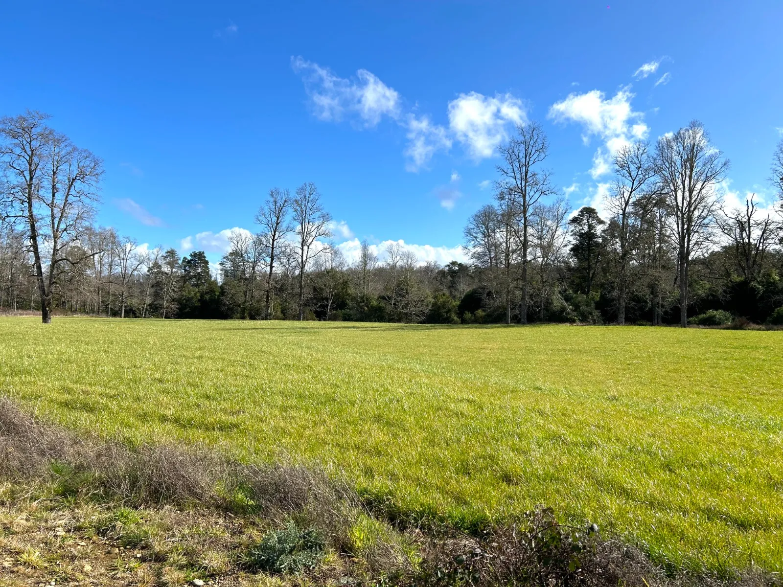 WhatsApp Image 2026-04-13 at 5.59.08 PM (1).webp