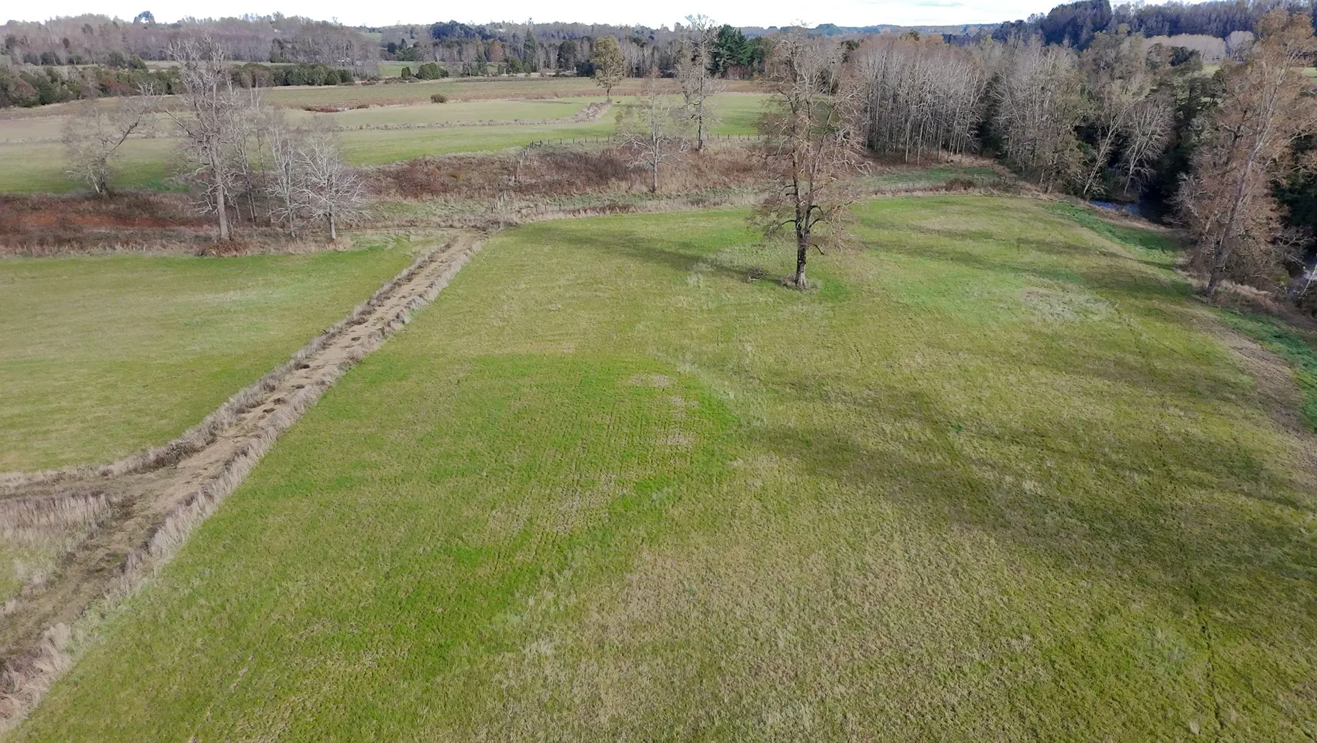 WhatsApp Image 2026-04-13 at 5.58.14 PM.webp