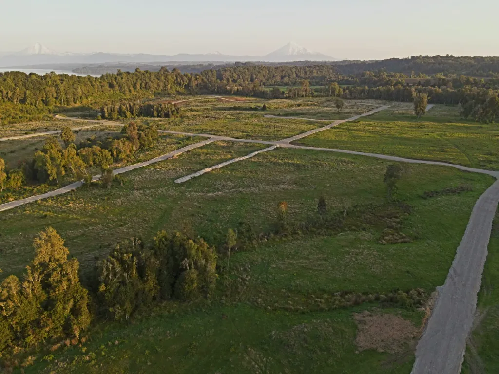 WhatsApp Image 2026-04-08 at 10.07.52 PM.webp