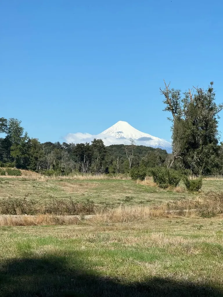 WhatsApp Image 2026-04-08 at 9.59.02 PM.webp